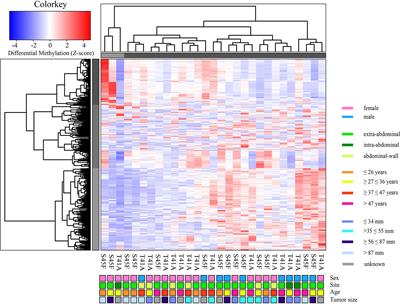 Differentially Methylated Regions in Desmoid-Type Fibromatosis: A Comparison Between CTNNB1 S45F and T41A Tumors